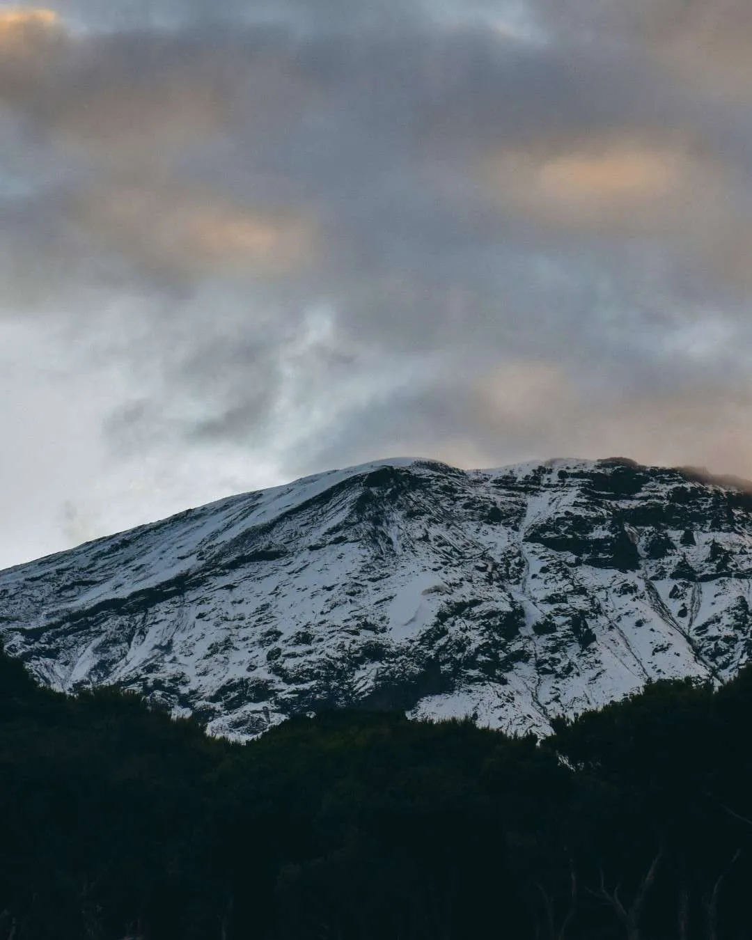 Kilimanjaro Climbing β featured travel experience in Tanzania
